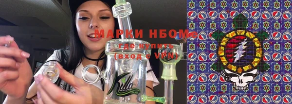 гидропоника Алзамай
