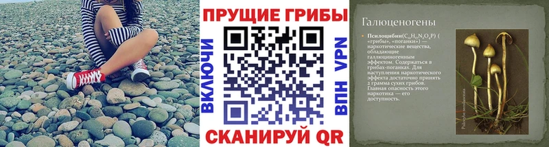 магазин  наркотиков  blacksprut онион  Псилоцибиновые грибы мухоморы  Бежецк 